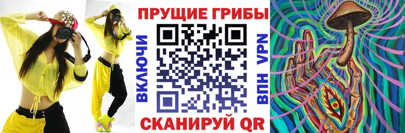 Купить закладки  Городовиковск  Галлюциногенные грибы Psilocybe 